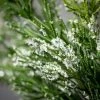 6'L Sullivans Frosted Green Cedar Garland, Green Christmas Garland -Northlight Christmas Store GUEST 393e5b2f cae4 49ff a4ff 162ec902e692