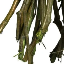 Vickerman 34-40" Moneta Branches, Dried 16oz -Northlight Christmas Store GUEST 3a128b38 59d4 440c a098 2a17600d482b