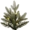 Vickerman Frosted Balsam Fir Artificial Christmas Tree -Northlight Christmas Store GUEST 3af9c902 e89c 4c65 b2c6 973a42b7054f