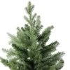 Northlight Real Touch™️ Mixed Eden Pine Artificial Christmas Tree - Unlit - 6' 1 Northlight Real Touch™️ Mixed Eden Pine Artificial Christmas Tree - Unlit - 6' -Northlight Christmas Store GUEST 3b5f955c cb49 44fd 8b48 3660be13678e