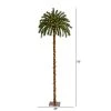 6ft Nearly Natural Pre-Lit LED Palm Artificial Christmas Tree Warm White Lights -Northlight Christmas Store GUEST 3bb6feb0 f123 4deb 85db 26c6bc48db99