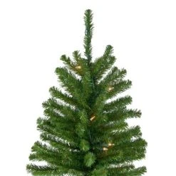 Northlight 6' Pre-Lit Pencil Alpine Artificial Christmas Tree, Clear Lights -Northlight Christmas Store GUEST 3bbc4c83 c66c 4b4b a614 bd406e9f0055