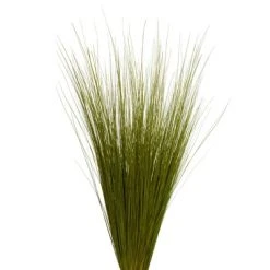 Vickerman Bright Grass, Dried