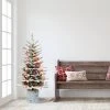 Puleo 4.5' Pre-Lit Flocked Arctic Fir Artificial Christmas Tree Multicolor Lights -Northlight Christmas Store GUEST 405dfa8e dfe5 4d44 9cc1 80960aeac6a4
