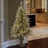 National Tree Company 5ft National Christmas Tree Company Glitter Bristle Artificial Pencil Christmas Tree 150ct Clear -Northlight Christmas Store GUEST 40b05e78 3559 4ad2 8c94 79bcceac2f98