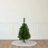 Northlight 2' Oakridge Noble Fir Artificial Christmas Tree, Unlit 2 Northlight 2' Oakridge Noble Fir Artificial Christmas Tree, Unlit -Northlight Christmas Store GUEST 43516d02 5284 4e86 a334 1f0c239e2354