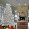 National Tree Company 7 ft Pre-Lit Artificial Full Christmas Tree, White, Dunhill Fir, White Lights, Includes Stand -Northlight Christmas Store GUEST 44550961 c60e 4e68 8b59 e621b1fce93a