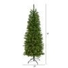 6ft Nearly Natural Pre-Lit LED Mountain Pine Artificial Christmas Tree Clear Lights -Northlight Christmas Store GUEST 4516b74c e803 45df 90c0 61f88fba8986