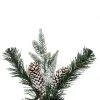 Vickerman Artificial Frosted Berry Mixed Pinecone Collection -Northlight Christmas Store GUEST 47230878 407f 4374 bcb9 116d4b90cb76