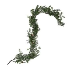 Vickerman Artificial Snow Cedar and Eucalyptus Collection -Northlight Christmas Store GUEST 4750a0c7 16de 4c75 82ee 10a9b0894106