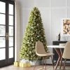 7.5' Pre-lit Virginia Pine Artificial Christmas Tree Dual Color Lights - Wondershop™ -Northlight Christmas Store GUEST 47ddc8a5 646d 4635 9b34 ce3d97dbe39f