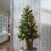 National Tree Company First Traditions 4' Pre-Lit LED Feel Real Scotch Creek Fir Potted Artificial Christmas Tree White Lights -Northlight Christmas Store GUEST 48439de1 dfa1 4992 ad4b 40f7a9de4b6a