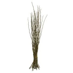 Vickerman 34-40" Moneta Branches, Dried 16oz -Northlight Christmas Store GUEST 48dd1271 caaa 4957 9010 9d6c650d42ab 1