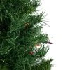 Northlight 2' Pre-Lit Medium Royal Pine Artificial Christmas Tree - Multicolor Lights 1 Northlight 2' Pre-Lit Medium Royal Pine Artificial Christmas Tree - Multicolor Lights -Northlight Christmas Store GUEST 49684c2f 0f7c 46c7 9486 d858537d367a