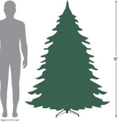 Northlight 6' Northern Balsam Fir Artificial Christmas Tree, Unlit 9 Northlight 6' Northern Balsam Fir Artificial Christmas Tree, Unlit -Northlight Christmas Store GUEST 496cdc0d acb0 4550 9cd7 027a63bcb333