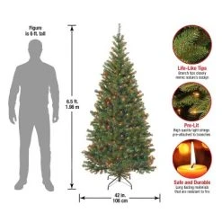 National Tree Company 6.5 ft Pre-Lit Artificial Slim Christmas Tree, Green, Aspen Spruce, Multicolor Lights, Includes Stand 9 National Tree Company 6.5 ft Pre-Lit Artificial Slim Christmas Tree, Green, Aspen Spruce, Multicolor Lights, Includes Stand -Northlight Christmas Store GUEST 4a6bb069 deca 4516 9542 88e6217e261d