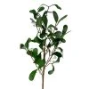 Northlight 24" White Mistletoe Berries Artificial Christmas Spray -Northlight Christmas Store GUEST 4b0dddd9 b369 4b5b 947d 5e7a1e3db90f