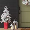 4' Pre-Lit Flocked Balsam Fir Potted Mini Artificial Christmas Tree with Red Berries Clear Lights - Wondershop™ 2 4' Pre-Lit Flocked Balsam Fir Potted Mini Artificial Christmas Tree with Red Berries Clear Lights - Wondershop™ -Northlight Christmas Store GUEST 52451462 3022 4bab 8168 3f9586a257cc