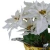 Northlight 17" Potted White Artificial Poinsettia Christmas Arrangement -Northlight Christmas Store GUEST 526350c5 08cb 43fd 8b8d 38a6507111eb