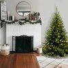 National Tree Company 6' Kincaid Spruce Artificial Christmas Tree Bulb Clear -Northlight Christmas Store GUEST 528fa3d3 61c4 4f84 ae0f a05feffd7e20
