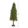 5ft Nearly Natural Pre-Lit Grand Alpine Artificial Christmas Tree Clear Lights -Northlight Christmas Store GUEST 55293bc2 c7a3 49ce a292 9f0a16ccca0e