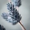 Sullivans Artificial Blue Pinecone Stem Blue 26"H -Northlight Christmas Store GUEST 555624e1 e38e 438f 96b6 d94ecf1dc896
