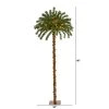 5ft Nearly Natural Pre-Lit LED Palm Artificial Christmas Tree Warm White Lights