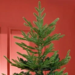 HOMCOM 7.5 Foot Artificial Christmas Tree, Pine Hinged Xmas Tree with Realistic Branches, Steel Base, Auto Open, Green 11 HOMCOM 7.5 Foot Artificial Christmas Tree, Pine Hinged Xmas Tree with Realistic Branches, Steel Base, Auto Open, Green -Northlight Christmas Store GUEST 5630babf c18f 448e ab73 78a3cdea29e9