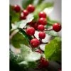 Sullivans Berry Leaf Artificial Stem -Northlight Christmas Store GUEST 57d683fa 60f9 4580 bd5d 385a6f95f5e4