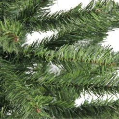 Northlight 5' Canadian Pine Medium Artificial Christmas Tree, Unlit 8 Northlight 5' Canadian Pine Medium Artificial Christmas Tree, Unlit -Northlight Christmas Store GUEST 58a90d50 5096 4b72 9832 140dc2486b13