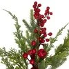 Northlight 20" Frosted Red Berry Artificial Christmas Branch Spray