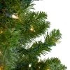 Northlight 5' Prelit Artificial Christmas Tree Medium Canadian Pine - Clear Lights 2 Northlight 5' Prelit Artificial Christmas Tree Medium Canadian Pine - Clear Lights -Northlight Christmas Store GUEST 5bc23c98 285e 4e03 ab13 abb6e31634ea