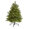 Nearly Natural 4’ North Carolina Fir Prelit LED Artificial Christmas Tree 2 Nearly Natural 4’ North Carolina Fir Prelit LED Artificial Christmas Tree -Northlight Christmas Store GUEST 5bd6128f c167 43e6 850b 4ab107cbde3e
