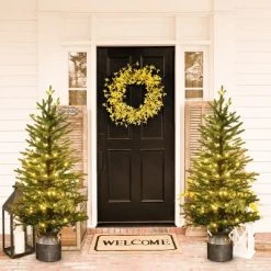 LuxenHome 4ft Pre-Lit LED Artificial Fir Christmas Tree with Silver Metal Pot -Northlight Christmas Store GUEST 5dd0343f b295 4c41 8265 659978a7b139
