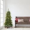 4.5ft Puleo Pre-Lit Slim Aspen Fir Artificial Christmas Tree Clear Lights -Northlight Christmas Store GUEST 5e581d58 1ec7 4ba6 aabc e4cbb8040401