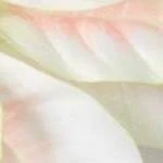 Sullivans Artificial Poinsettia Stem 33.5"H 3 Sullivans Artificial Poinsettia Stem 33.5"H