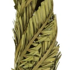 Vickerman 40-48" Twisted Coco Palm Stems, Dried -Northlight Christmas Store GUEST 5f5ad57d 5cda 49a7 b2bb cf123b98b77e
