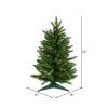 Vickerman Frasier Fir Unique Artificial Christmas Tree 1 Vickerman Frasier Fir Unique Artificial Christmas Tree -Northlight Christmas Store GUEST 615892f0 b4f5 432a b16c 3fa8eae091dc