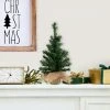 Northlight 18" Unlit Artificial Christmas Tree Mixed Green Pine in Burlap Base 1 Northlight 18" Unlit Artificial Christmas Tree Mixed Green Pine in Burlap Base -Northlight Christmas Store GUEST 61843ea0 0630 4c5a a723 f3850c031315