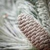 6'L Sullivans Snowy Pinecone Garland, Green Christmas Garland -Northlight Christmas Store GUEST 62f753af 322b 4317 ba29 d8c6c00079ae 1