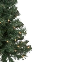 Northlight 2' Pre-Lit Slim Blackwater Fir Artificial Christmas Tree - Clear Lights -Northlight Christmas Store GUEST 6401d4fa d961 4eb7 b3d0 c479e23ea2f1 1