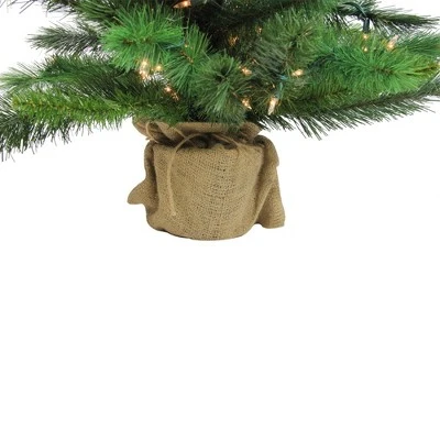 Northlight 3' Prelit Artificial Christmas Tree New Carolina Spruce - Clear Lights 5 Northlight 3' Prelit Artificial Christmas Tree New Carolina Spruce - Clear Lights - Image 3