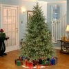 National Tree Company 7.5 ft Pre-Lit 'Feel Real' Artificial Full Christmas Tree, Green, Frasier Grande, White Lights, Includes Stand -Northlight Christmas Store GUEST 64bc8000 141f 4fe5 a127 1f92410cdabd