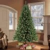 9ft Pre-lit Artificial Christmas Tree Full Newcastle Fir - Puleo -Northlight Christmas Store GUEST 65fa516f 36ff 4e48 b3cf b9d2458bb2a8