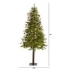 7ft Nearly Natural Pre-Lit LED Wyoming Alpine with Pinecones Artificial Christmas Tree Clear Lights -Northlight Christmas Store GUEST 66ed47b6 2839 47f6 bd84 5916eea1b2d9