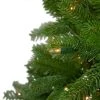 Northlight 6.5' Pre-Lit Palisades Fir Artificial Christmas Tree - Clear Lights -Northlight Christmas Store GUEST 68703ca7 a302 4bd2 b6bd c8520bdefa39