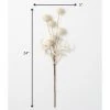 Sullivans Artificial Ball Hemp Stem 24"H Off-White 2 Sullivans Artificial Ball Hemp Stem 24"H Off-White -Northlight Christmas Store GUEST 70076605 e6a8 4f02 9c15 3a025c249b8b