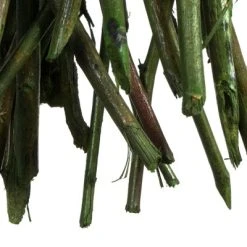 Vickerman 34-40" Moneta Branches, Dried 8oz -Northlight Christmas Store GUEST 700a04e1 6cb6 44a6 8cd0 c06c846fa528