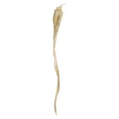 Vickerman 36-38" Sea Kelp, Dried -Northlight Christmas Store GUEST 7071c765 22dd 4dda 9658 5e7cb80e0611