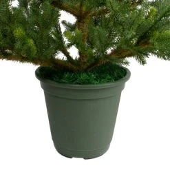 Northlight 6' Unlit Artificial Christmas Tree Potted Noble Pine 9 Northlight 6' Unlit Artificial Christmas Tree Potted Noble Pine -Northlight Christmas Store GUEST 71a5685d 169c 4706 b1aa 17b317f9a63d 1